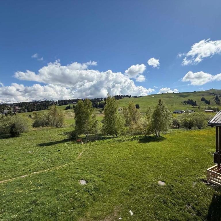 Charmant appartement 5 pers aux Saisies avec cheminée et balcon - FR-1-293-222 - Apartamento (5 adultos) - 16