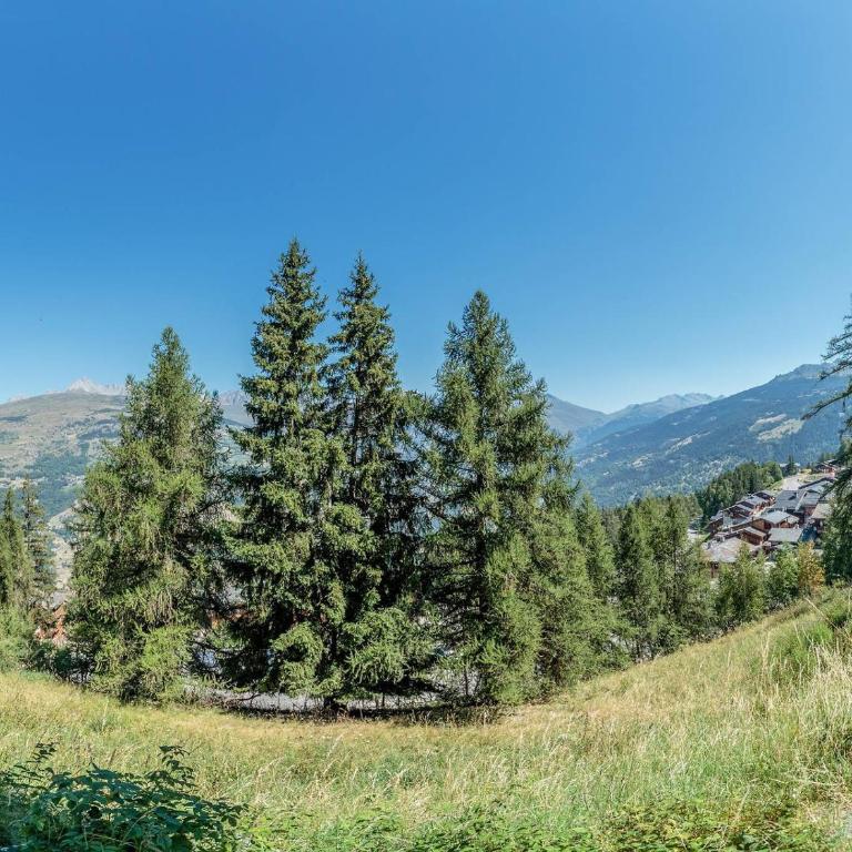 Studio cabine calme à La Plagne, 3 pers, animaux admis - Studio - 12