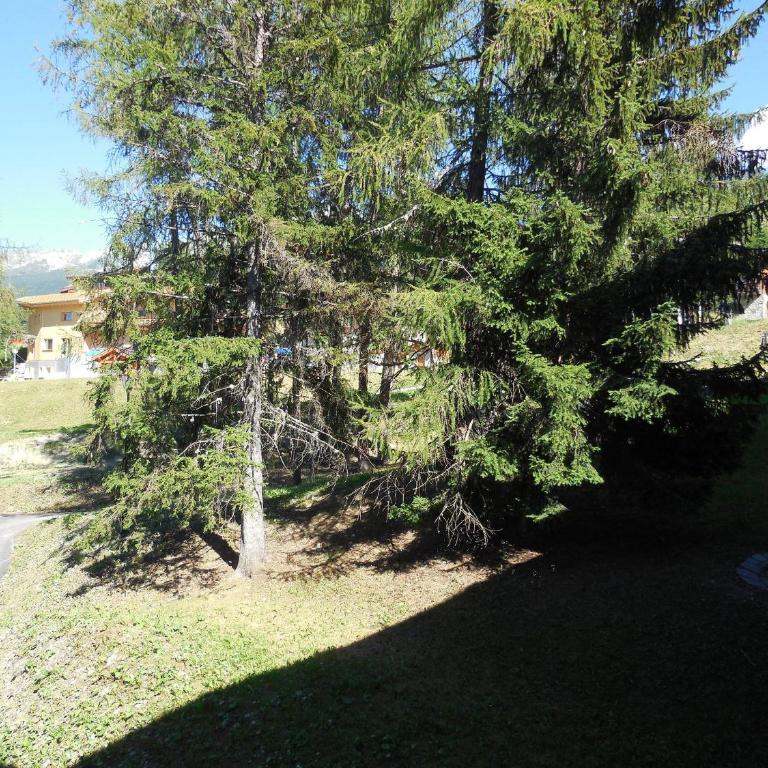 Studio lumineux pour 4 pers à La Plagne - Studio - 11