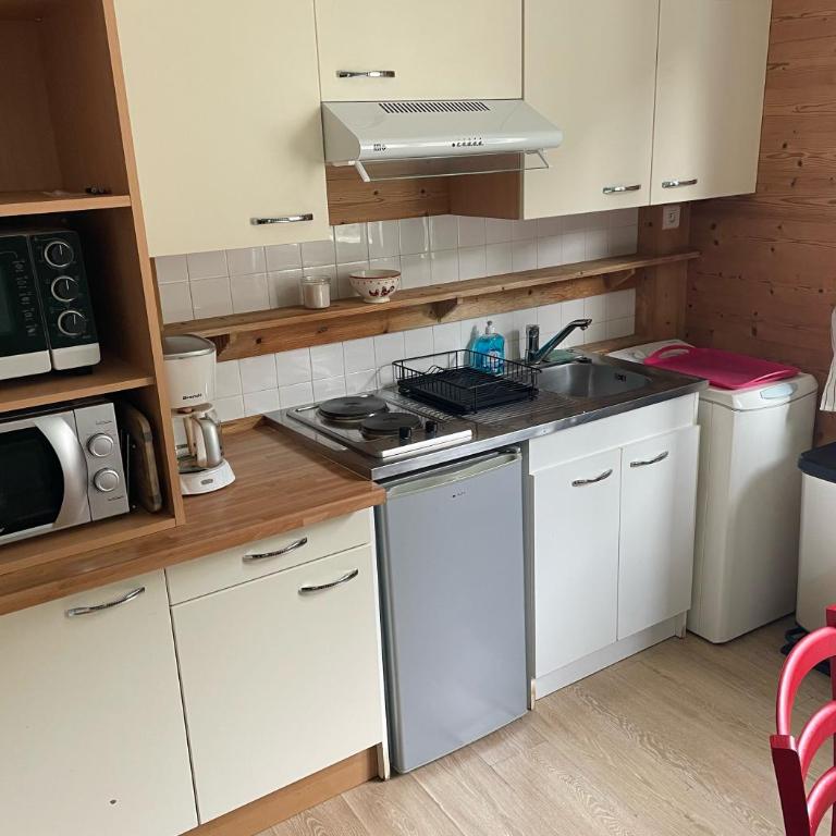 Agréable appartement au coeur du Mont-dore - Appartement 1 Chambre - 6