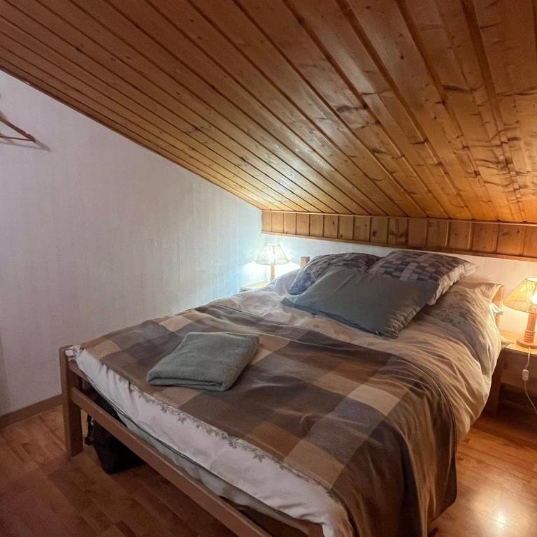 Appartement rénové à Châtel - 8 pers, parking inclus - Appartement 2 Chambres - 15