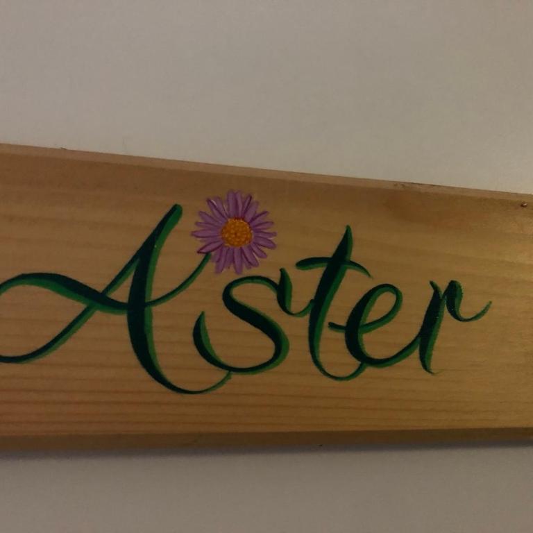 ASTER RESIDENCE LAUREANE 1er ETAGE - Appartement 1 Chambre - 9