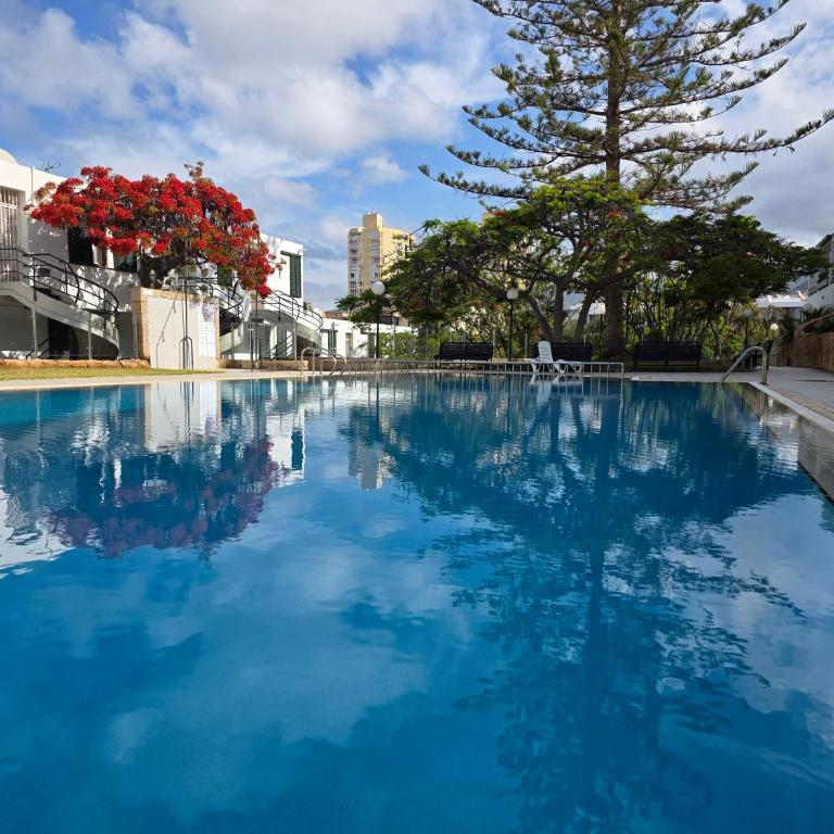 Apartment Jacaranda 2 by sea and beach, pool, very central, dishwasher, Wifi, fantastic seaview - Apartamento de 2 dormitorios - 38