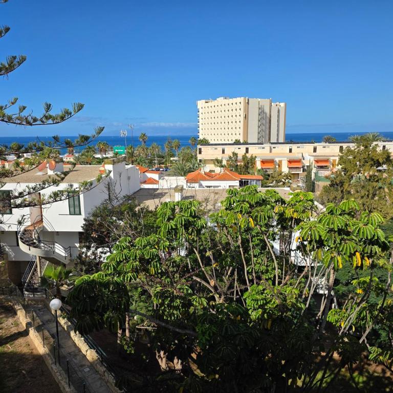 Apartment Jacaranda 2 by sea and beach, pool, very central, dishwasher, Wifi, fantastic seaview - Apartamento de 2 dormitorios - 1