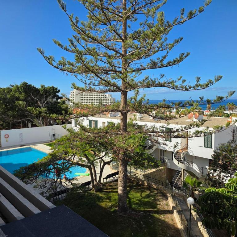 Apartment Jacaranda 2 by sea and beach, pool, very central, dishwasher, Wifi, fantastic seaview - Apartamento de 2 dormitorios - 27