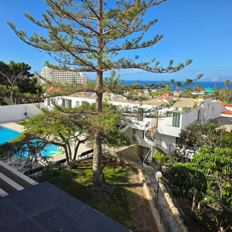 Apartment Jacaranda 2 by sea and beach, pool, very central, dishwasher, Wifi, fantastic seaview - Apartamento de 2 dormitorios - 28