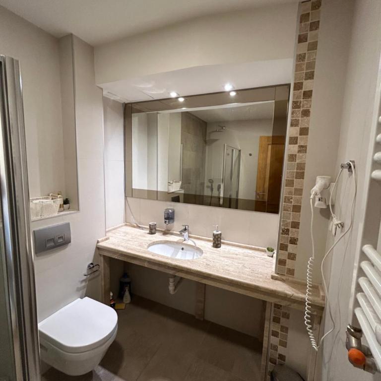 Vila borova - Double Room with Mountain View - 14