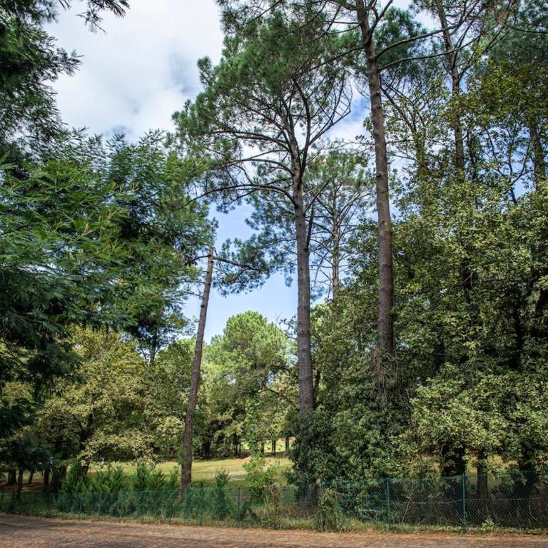 Demeure d'exception sur le Golf De Biscarrosse avec piscine chauffée - Maison 4 Chambres - 28