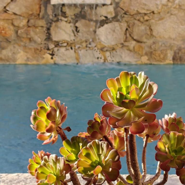 Maison XVII - Authenticité et luxe contemporain - Villa - 48