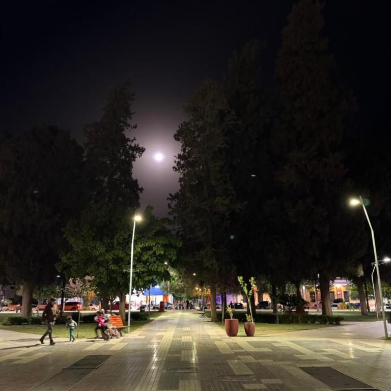 La casita del Olivo - Apartamento de 1 dormitorio - 16