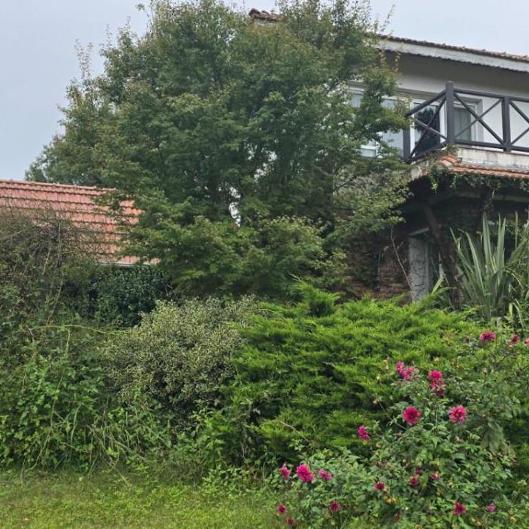 Los Alerces, Villa Berna - Two-Bedroom House - 3