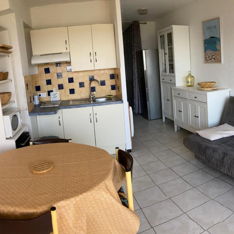 Appartement cosy à Balaruc-les-Bains avec animaux admis - FR-1-503-31 - Studio - 13
