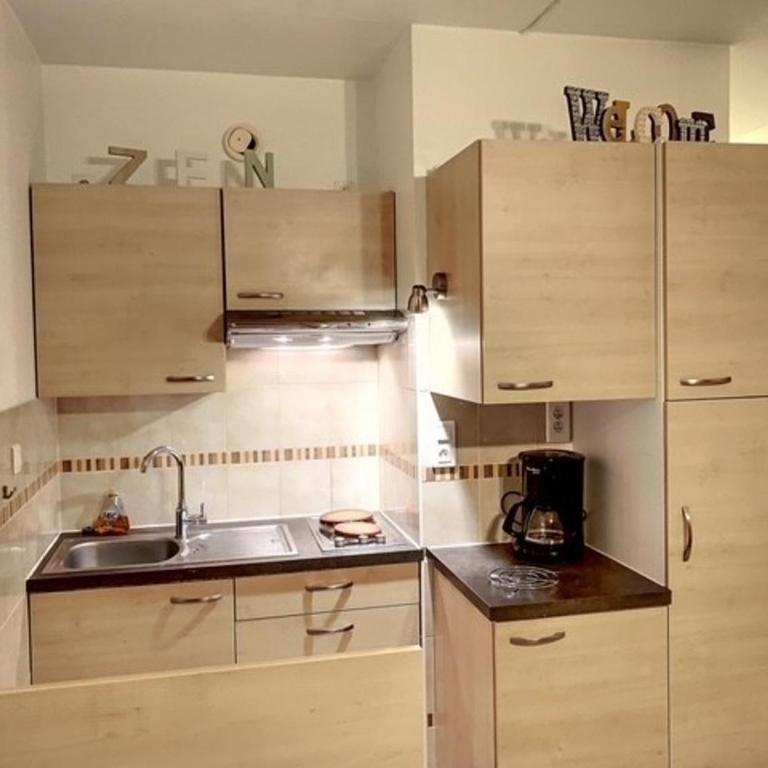 Appartement chaleureux avec balcon, animaux admis, pour cure ou vacances - FR-1-503-85 - Studio - 15