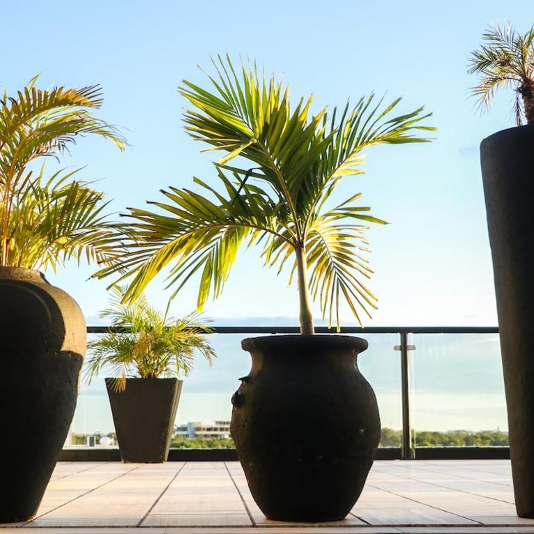 Luum Vibe, Free soul and a refuge in the jungle - Two-Bedroom Apartment - 2