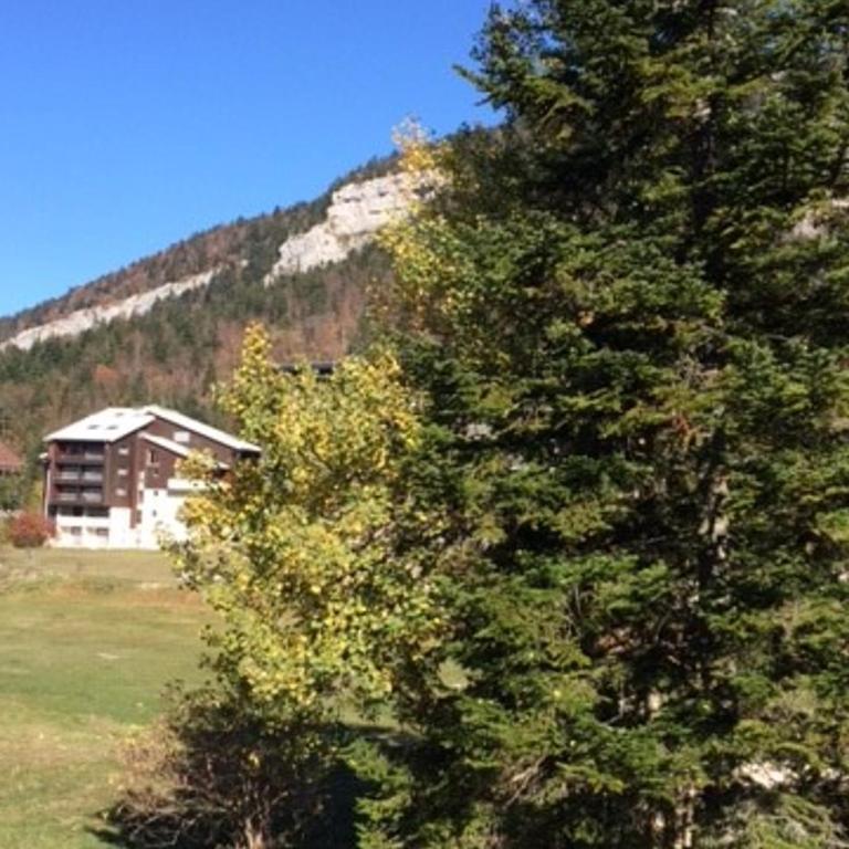 Studio cabine au pied des pistes, balcon sud - Studio - 15