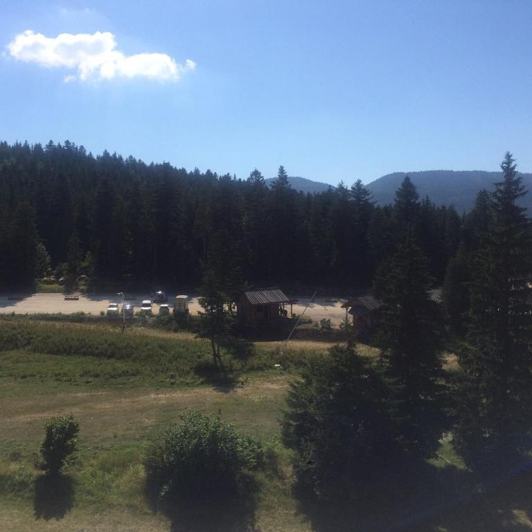 Studio cabine 33m² pieds des pistes, Animaux admis, Balcon sud - Studio - 11
