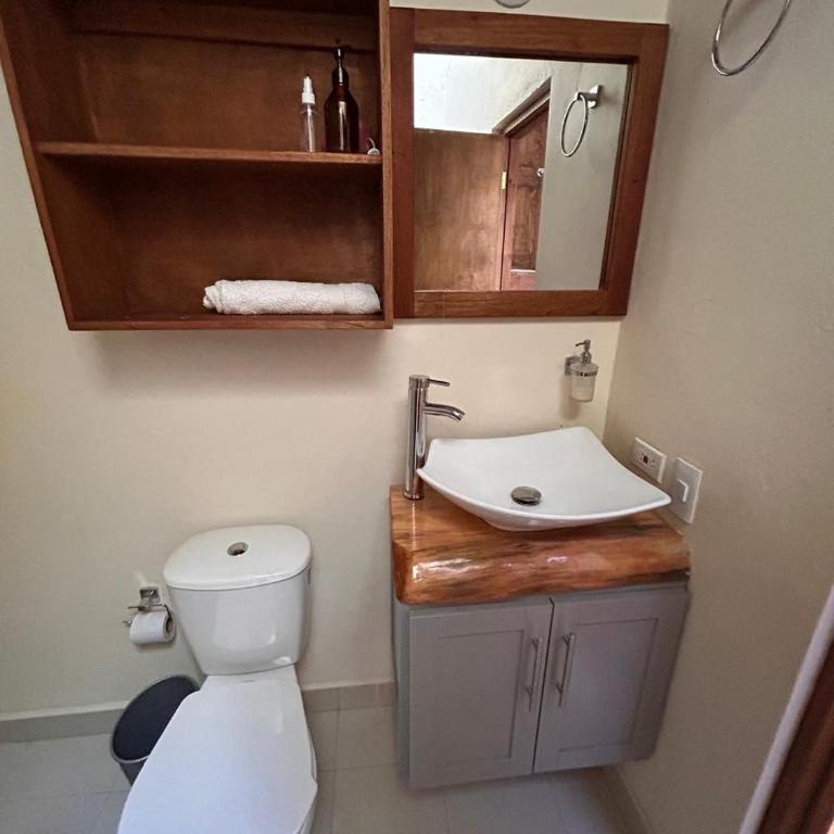 montaña serena - One-Bedroom Apartment - 8