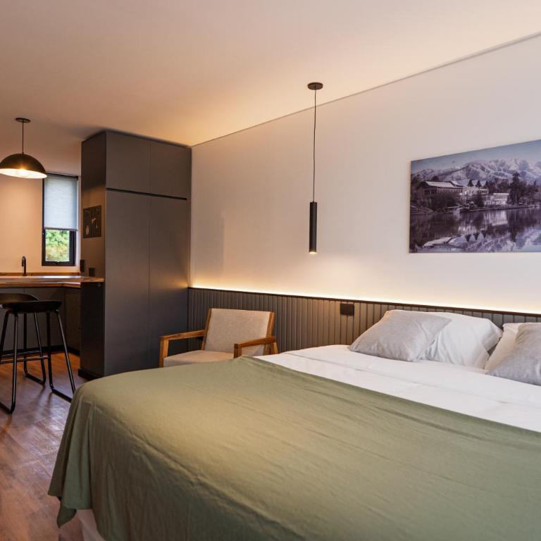Vistalba Hotel Aparts & Suites - Suite Superior con cama extragrande - 1