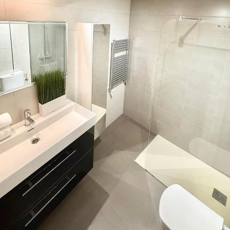 Vive Zaragoza VIII - Three-Bedroom Apartment - 18