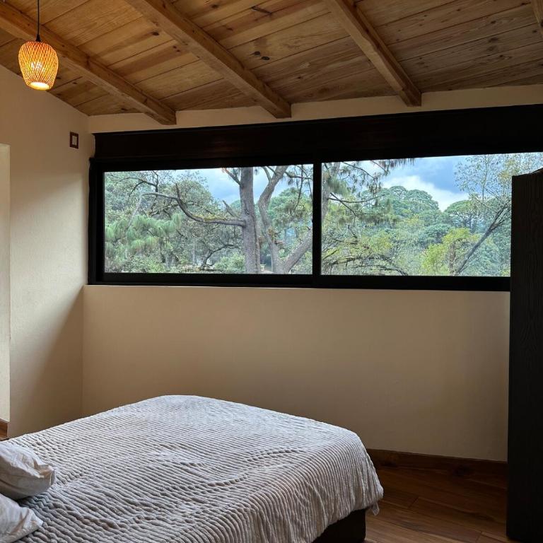 Luz de Altura - Apartamento de 1 dormitorio - 7