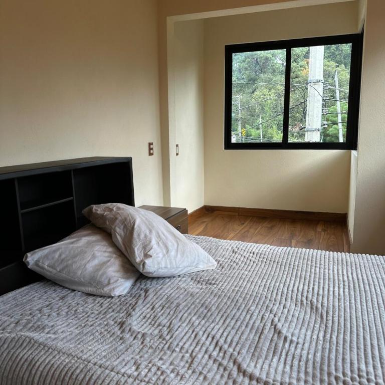 Luz de Altura - Apartamento de 1 dormitorio - 18