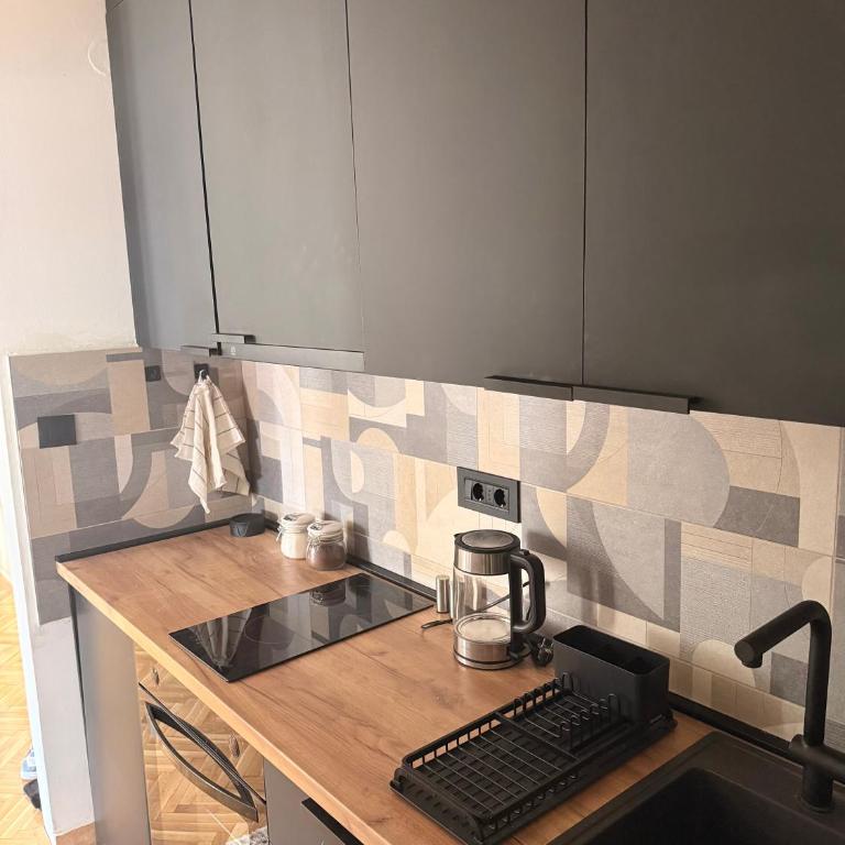 Kralj Petar I - Apartman sa 1 Spavaćom Sobom - 16