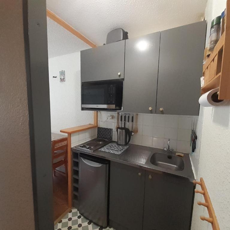 Studio 2/3 pers à 20m du télécabine, cuisine équipée, balcon sud, animaux admis - FR-1-561-116 - Estudio - 8