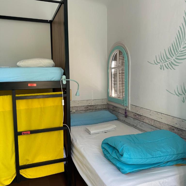 Can Cocollona - Cama en habitación femenina compartida de 4 camas - 2
