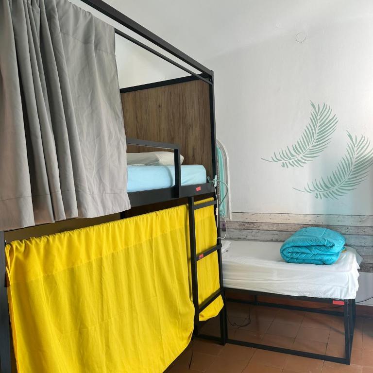 Can Cocollona - Cama en habitación femenina compartida de 4 camas - 5