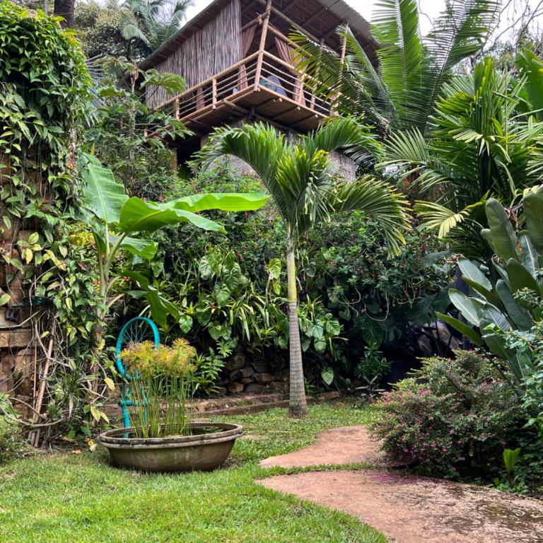 Cabaña privada en Cali, rodeado de naturaleza - Chalet - 1