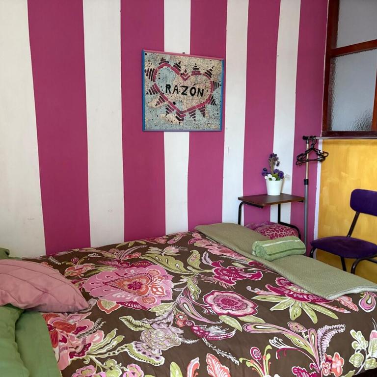 super cute affordable mini apt, san Blas - Apartamento de 1 dormitorio - 5
