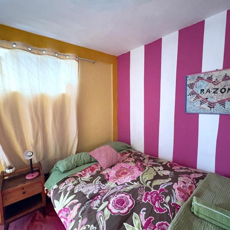 super cute affordable mini apt, san Blas - Apartamento de 1 dormitorio - 12