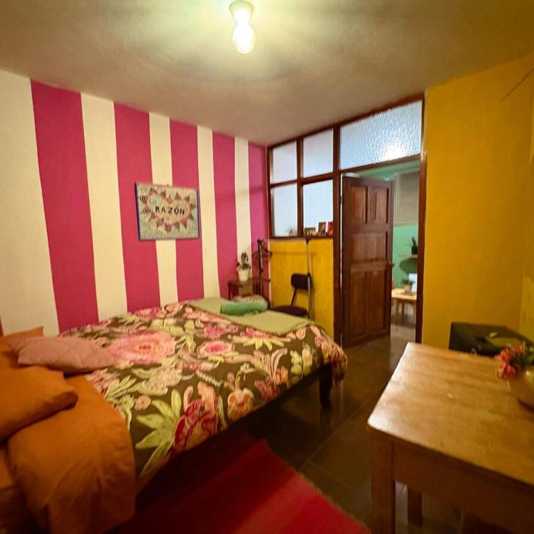 super cute affordable mini apt, san Blas - Apartamento de 1 dormitorio - 18