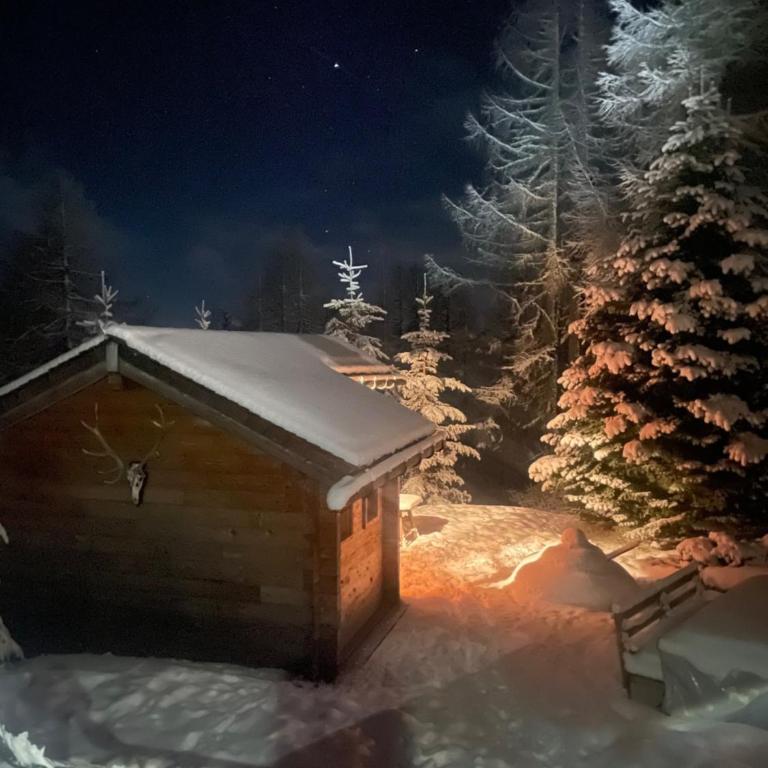 Maris Berghütte Gerlitzen 1720m - Casa Vacanze con 3 Camere da Letto - 43
