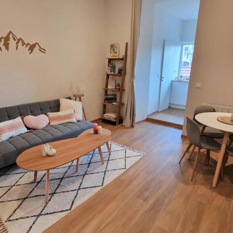Le Petit Nid Annecy - Appartamento con 1 Camera da Letto - 1