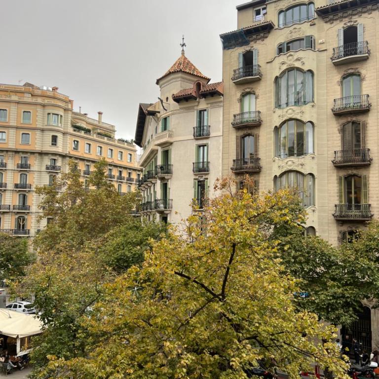 Velvet in Rambla Cataluña - Apartamento de 3 dormitorios - 8