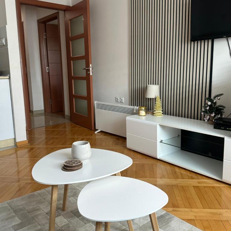 Stan u centru Niša, Obilićev venac - Apartman sa 1 Spavaćom Sobom - 2