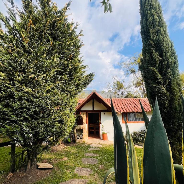 Casa campestre Heredad Hoteles - Three-Bedroom House - 3