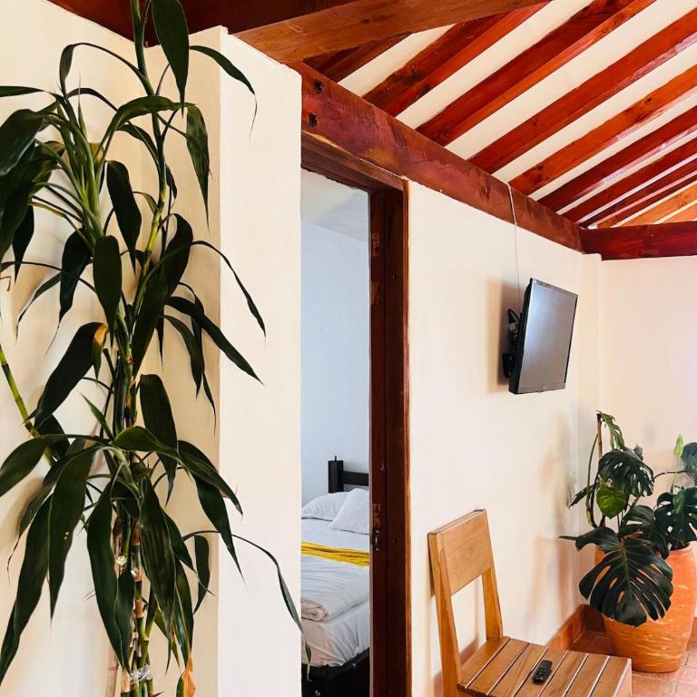 Casa campestre Heredad Hoteles - Three-Bedroom House - 18