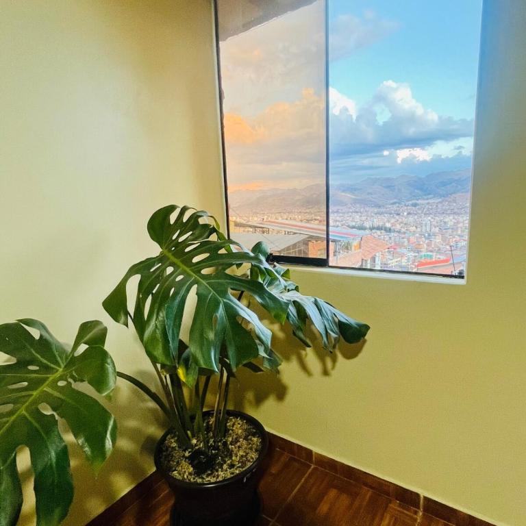 New colorful & artsy home, fam perfect, great wifi for working - Apartamento de 2 dormitorios - 30