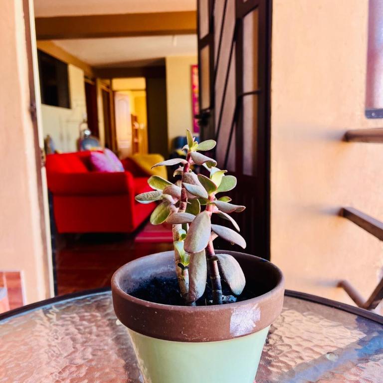 New colorful & artsy home, fam perfect, great wifi for working - Apartamento de 2 dormitorios - 56