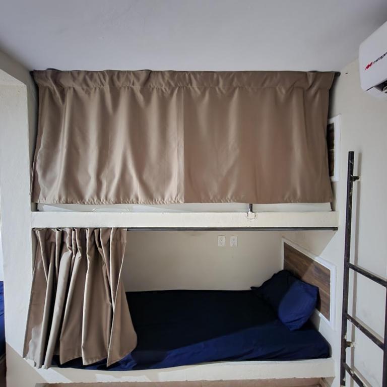 Casa Seloria - Bed in 6-Bed Dormitory Room - 3