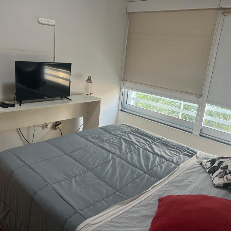 Complejo San Telmo Deluxe - Apartamento Deluxe de 1 dormitorio - 2