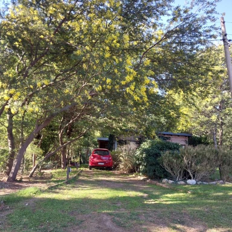 La Casita de Villa - Apartamento de 2 dormitorios - 16