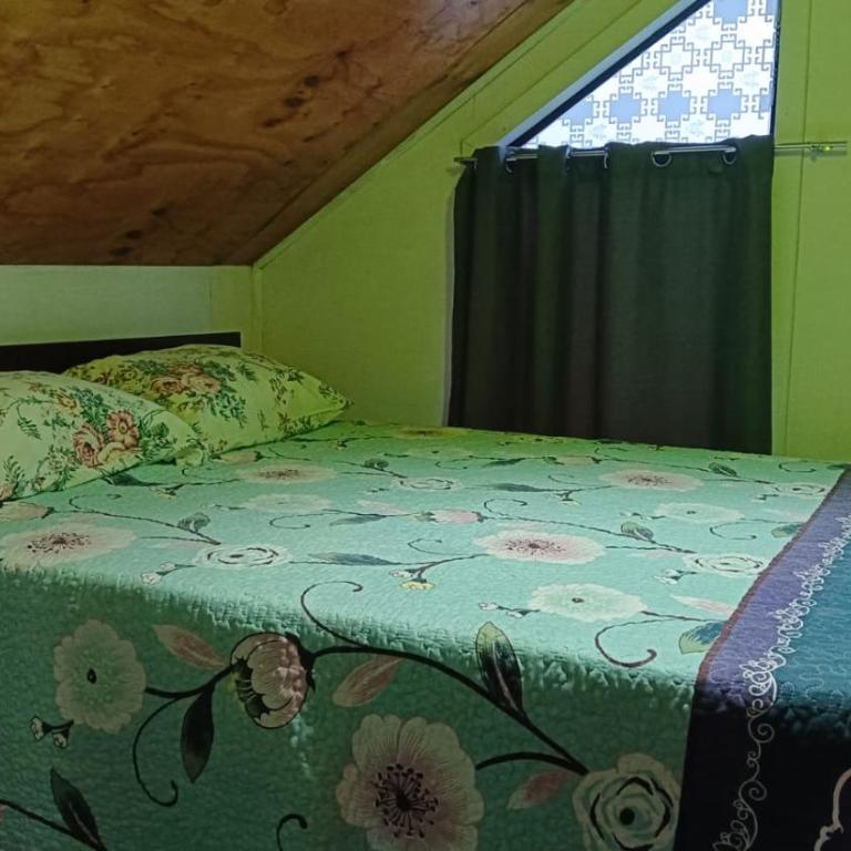 Vista canal dalcahue - One-Bedroom House - 4