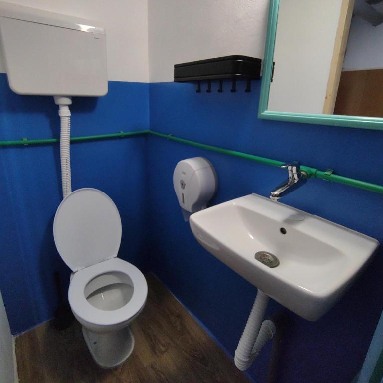 Chillton hostel - Bed in 6-Bed Female Dormitory Room - 22