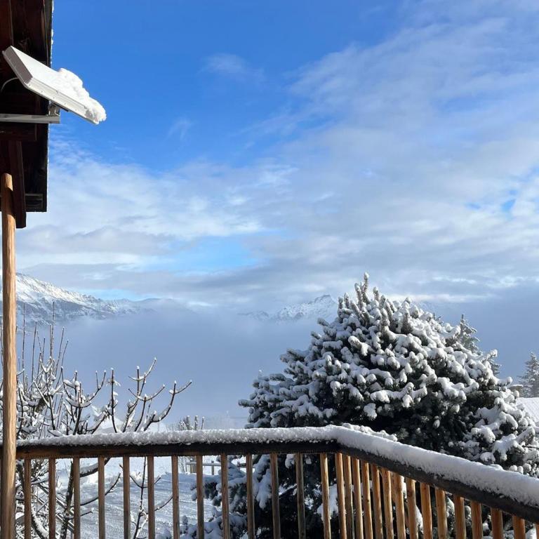 Charmant demi-chalet nature avec terrasse à Pra-Loup - Appartement 1 Chambre - 10