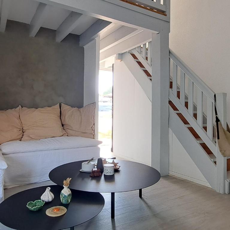 Maison agréable à Biscarrosse avec terrasse et parking - FR-1-521-262 - Maison de Vacances - 4