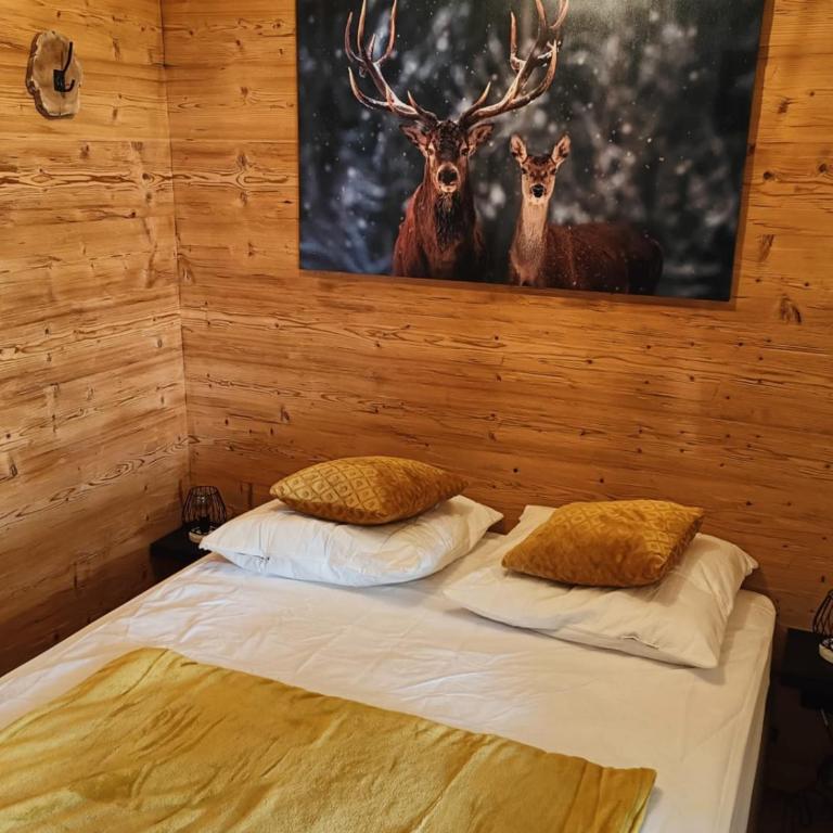 Appartement 2 pièces au pied de la télécabine avec animaux admis et parking - FR-1-836-30 - Appartement - 17