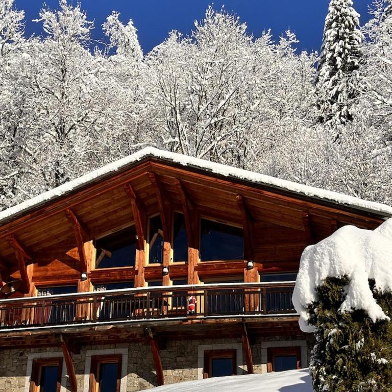 Chalet de Standing 5 Chambres avec Jacuzzi et Parking - FR-1-836-51 - Chalet - 24
